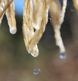 Manta de lana Ana y Francis Tejedores