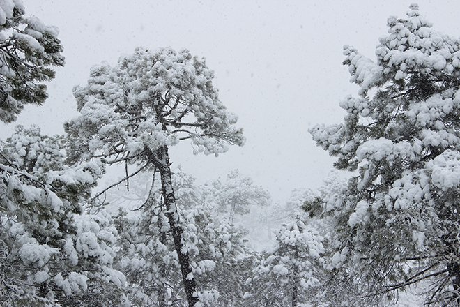Orcera Sierra de Segura