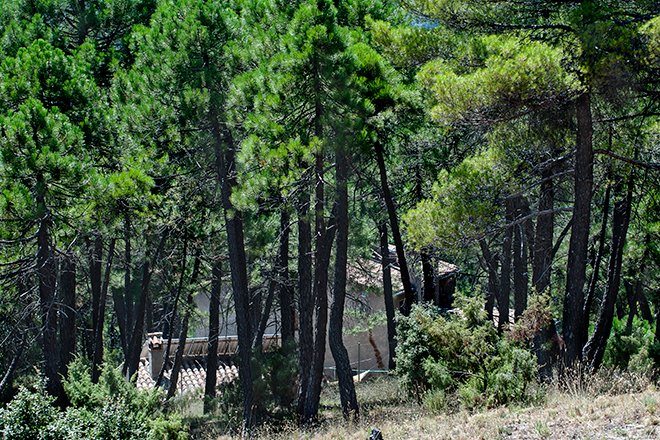 Orcera Sierra de Segura